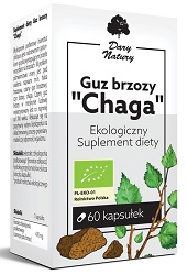 Guz Brzozy Chaga kaps. 60 kaps.*
